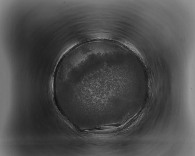 X0000097840790200803201517