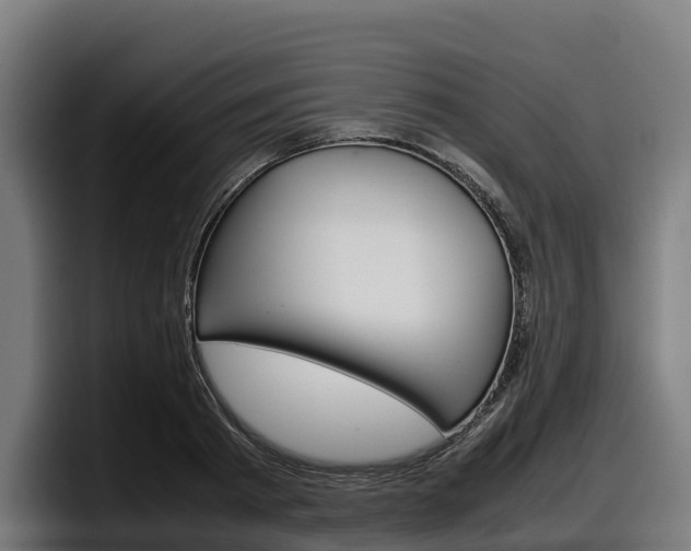 X0000097840793200803201517