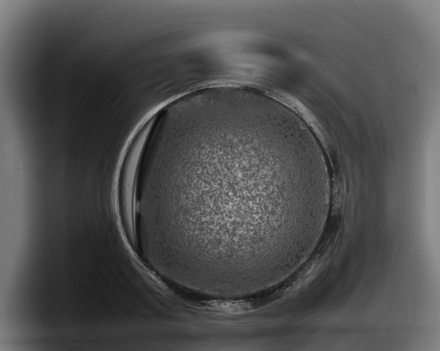 X0000097840795200803201517
