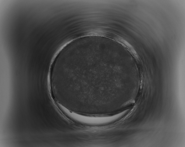 X0000097840796200803201517