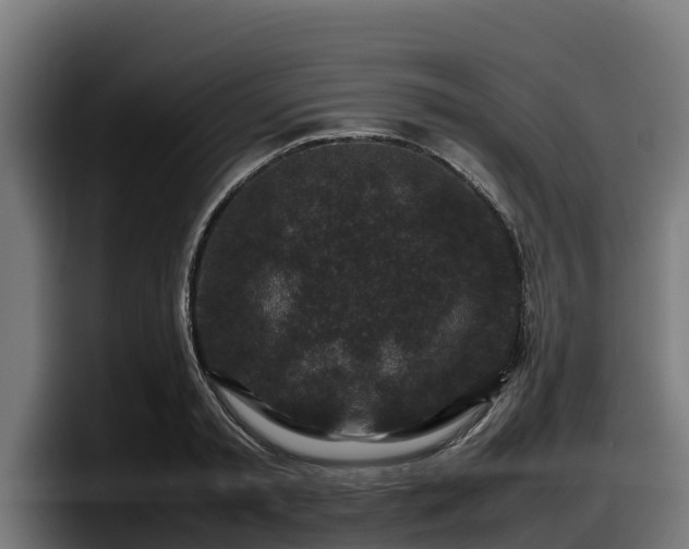 X0000097840797200803201517