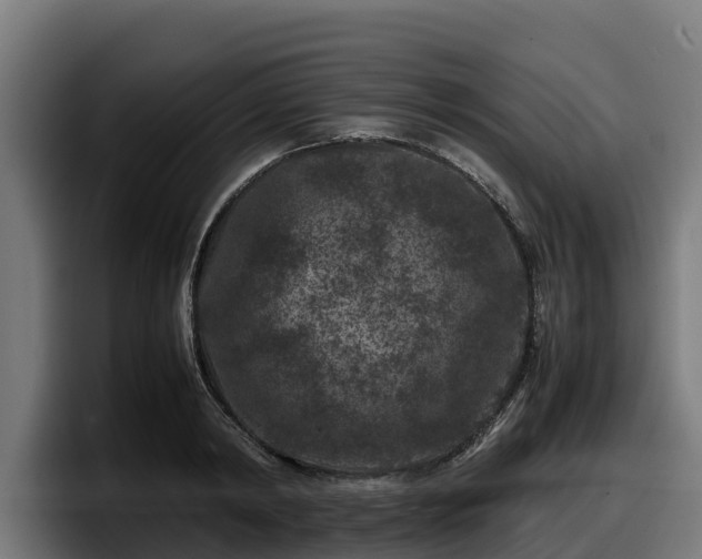 X0000097840798200803201517