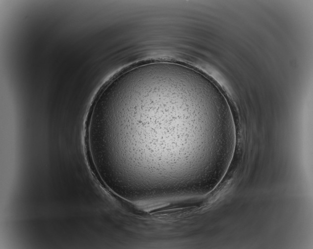 X0000097840799200803201517