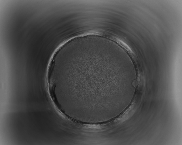 X0000097840800200803201517