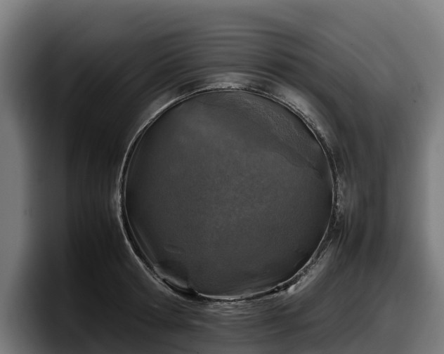 X0000097840802200803201517