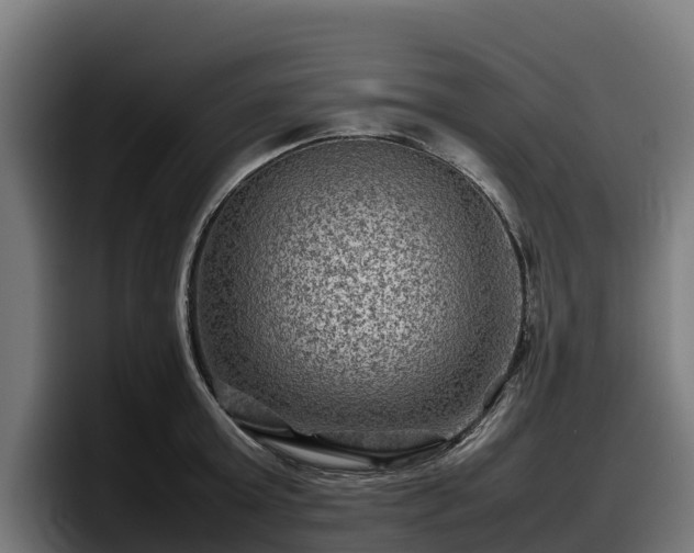 X0000097840803200803201517