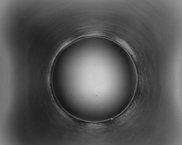 X0000097840805200803201517