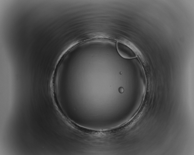 X0000097840806200803201517