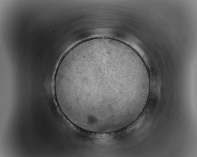 X0000097840807200803201517