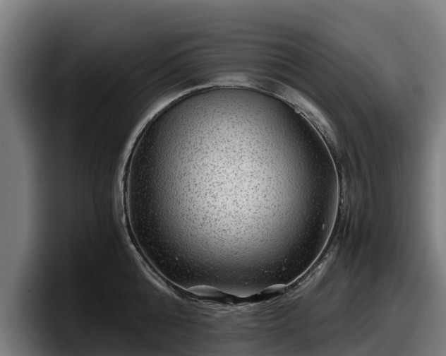 X0000097840808200803201517