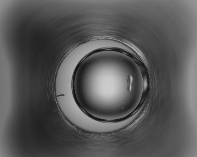 X0000097840809200803201517