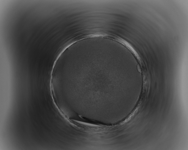 X0000097840810200803201517