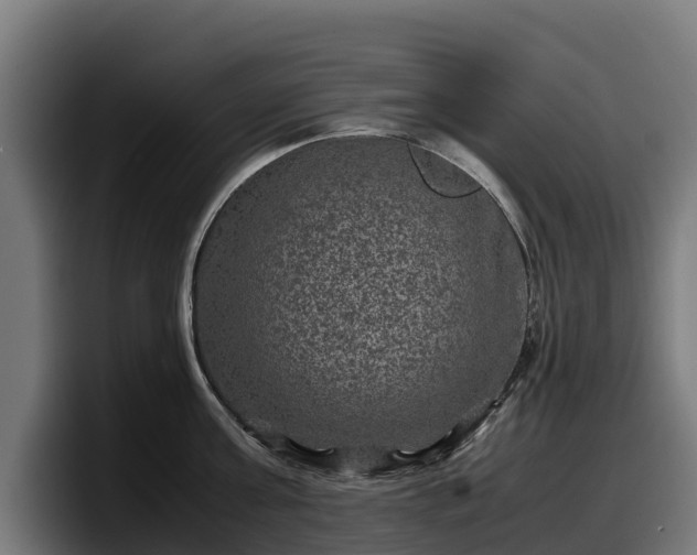 X0000097840811200803201517