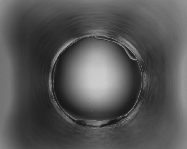 X0000097840812200803201517