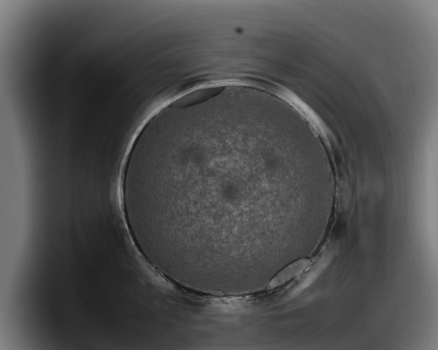 X0000097840813200803201517