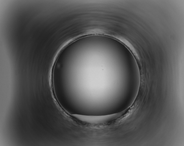 X0000097840815200803201516