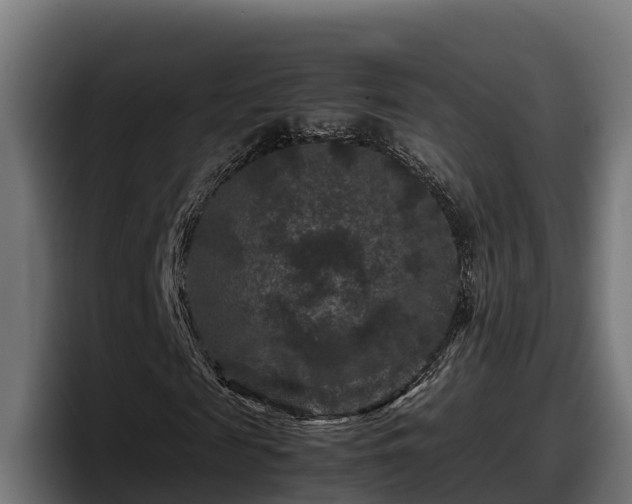 X0000097840817200803201516