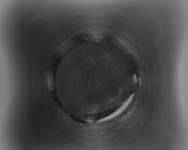 X0000097840818200803201516