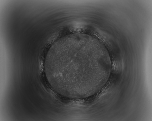 X0000097840820200803201516