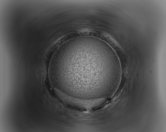 X0000097840821200803201516
