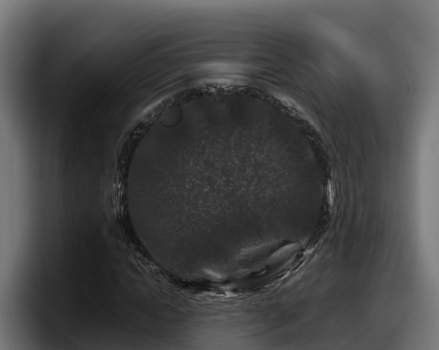 X0000097840822200803201516