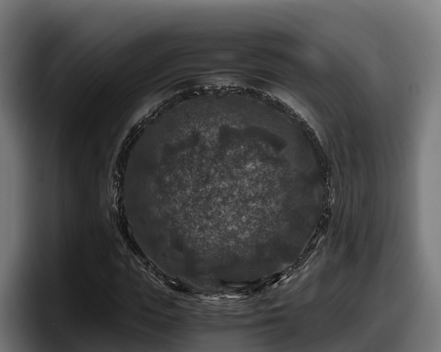 X0000097840823200803201516