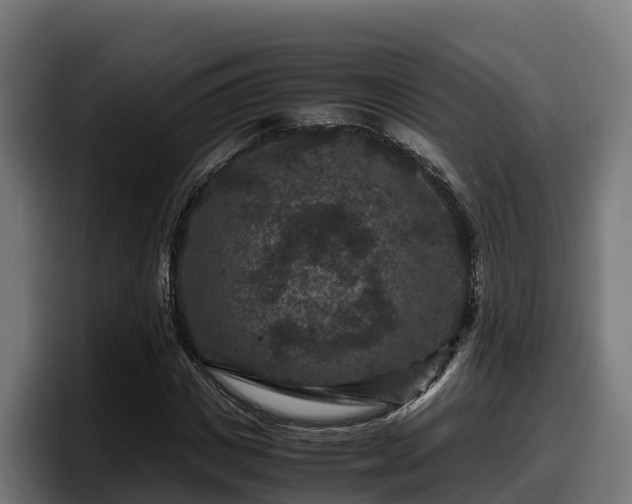 X0000097840825200803201516