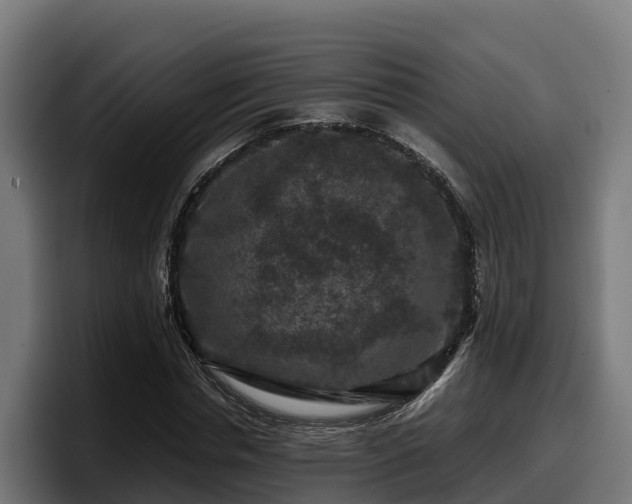 X0000097840826200803201516