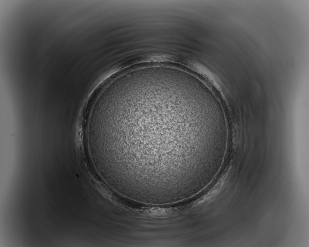 X0000097840827200803201516