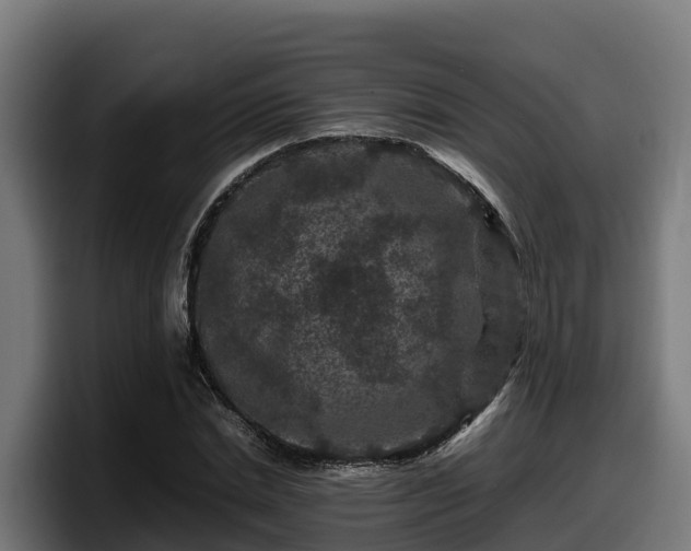 X0000097840830200803201516
