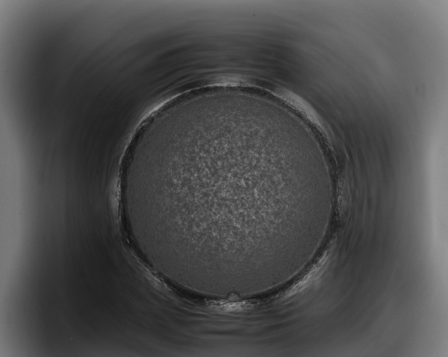 X0000097840831200803201516