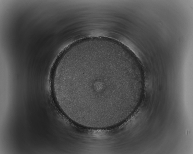 X0000097840832200803201516