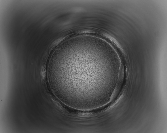 X0000097840833200803201516
