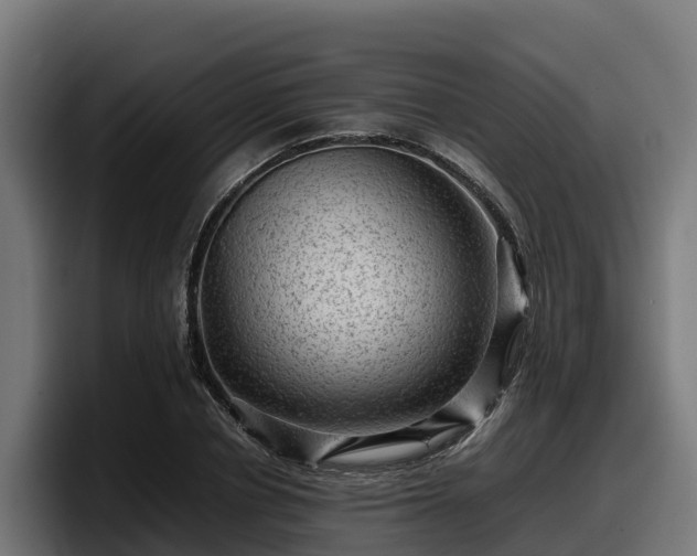 X0000097840834200803201516