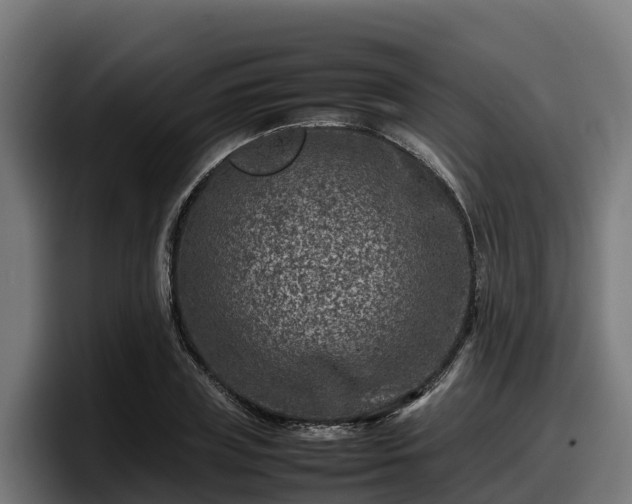 X0000097840835200803201516