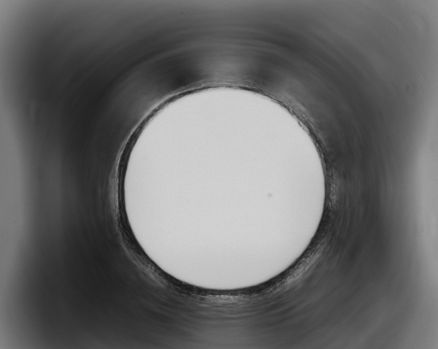 X0000097840836200803201516