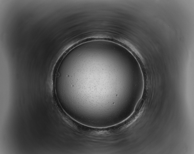 X0000097840837200803201516