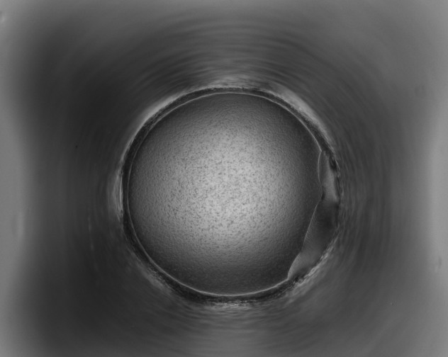 X0000097840838200803201516