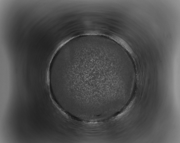 X0000097840839200803201516