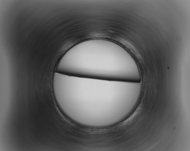 X0000097840841200803201516