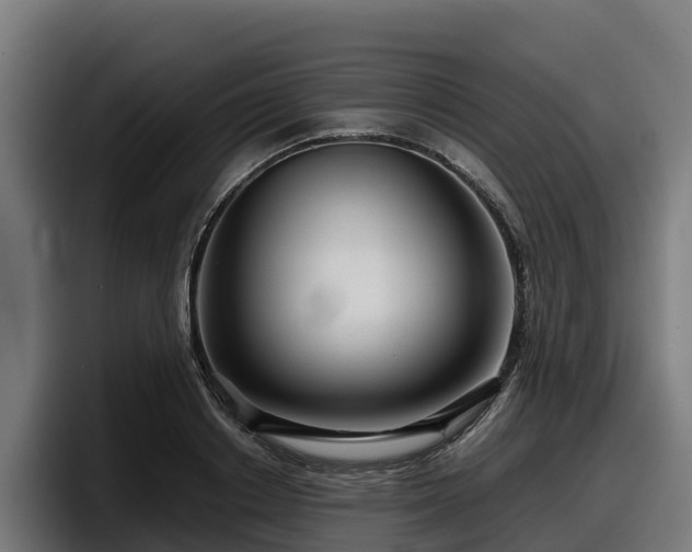 X0000097840842200803201516