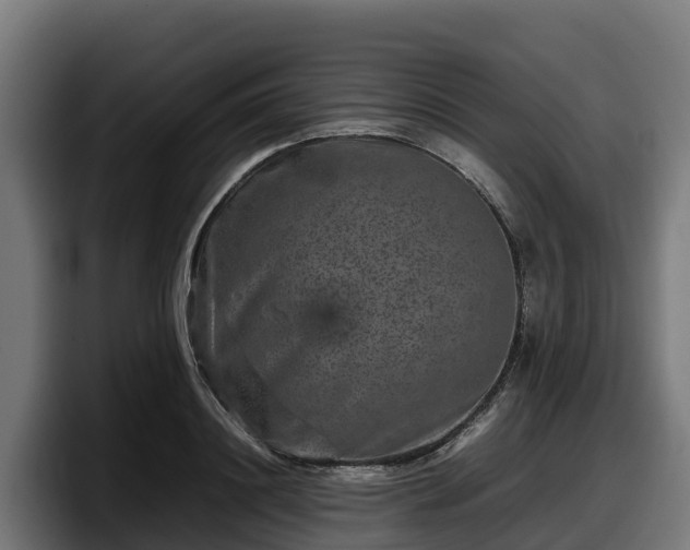 X0000097840844200803201516