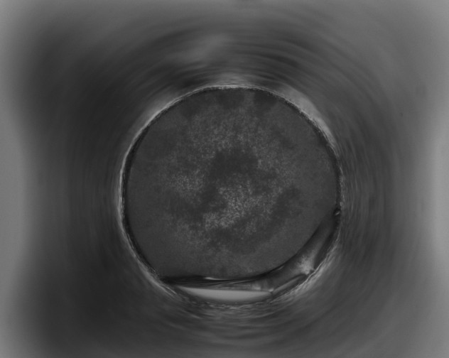 X0000097840845200803201516