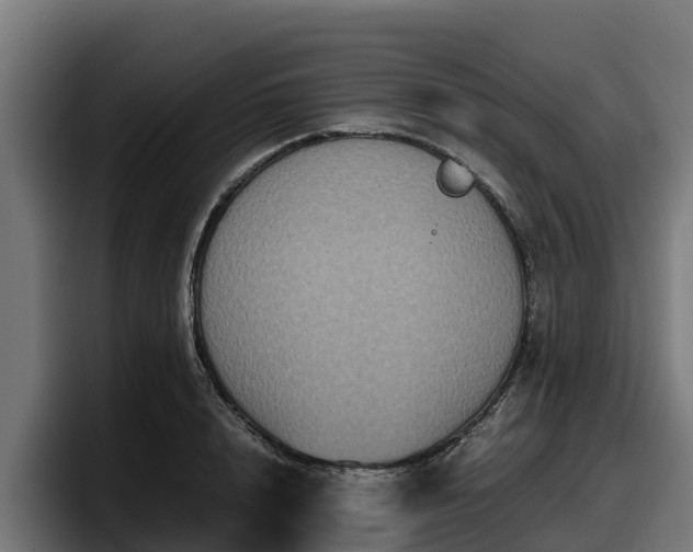X0000097840848200803201516