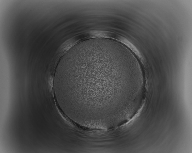 X0000097840849200803201516