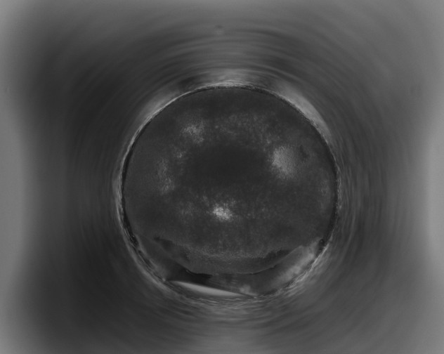 X0000097840850200803201516