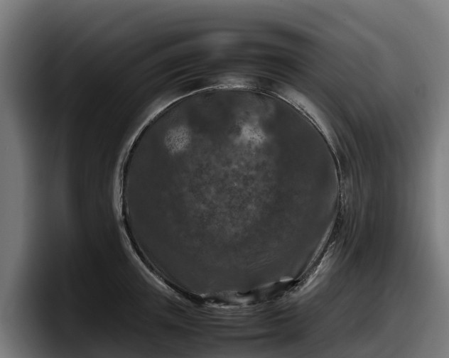 X0000097840851200803201516