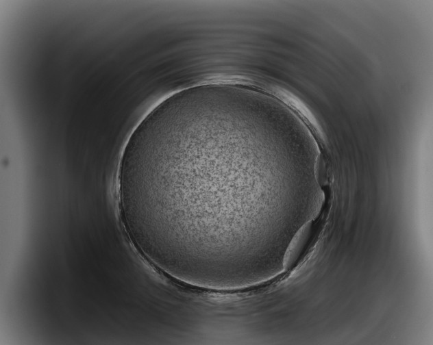 X0000097840852200803201516