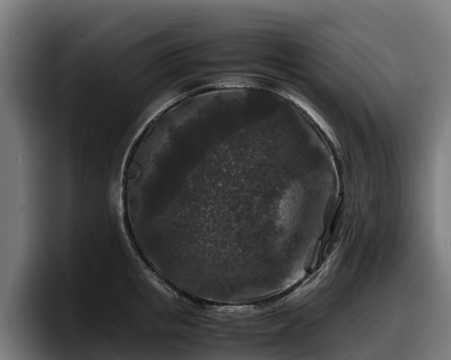 X0000097840853200803201516