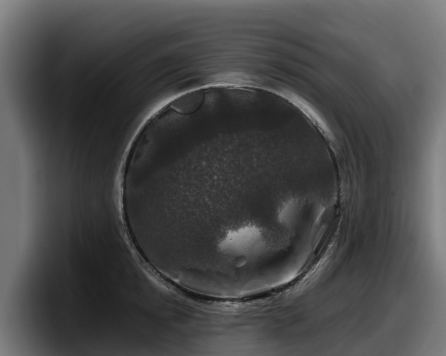 X0000097840854200803201516